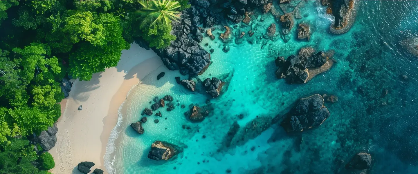 Tropical beach on Mafia Island