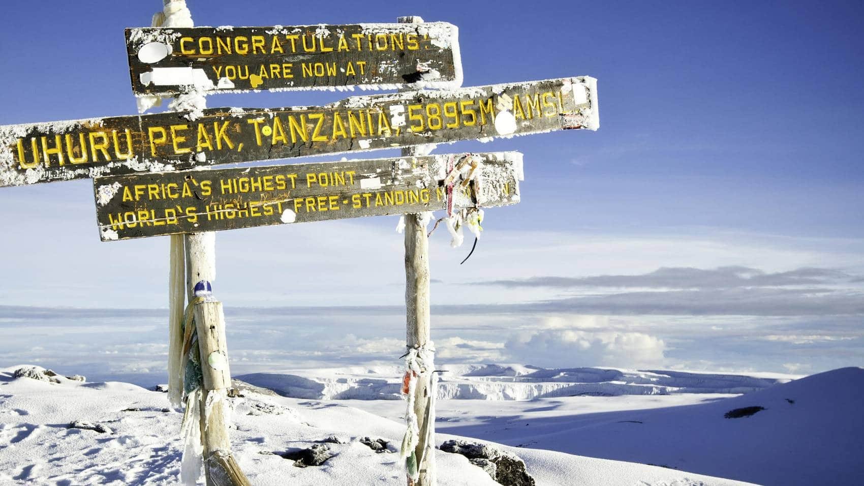 Kilimanjaro trekkers on the Lemosho Route