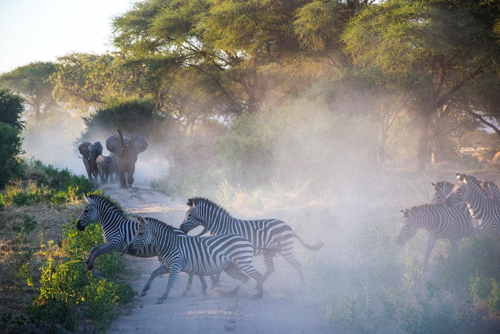 Katavi National Park