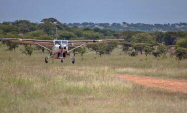 Serengeti Fly-In