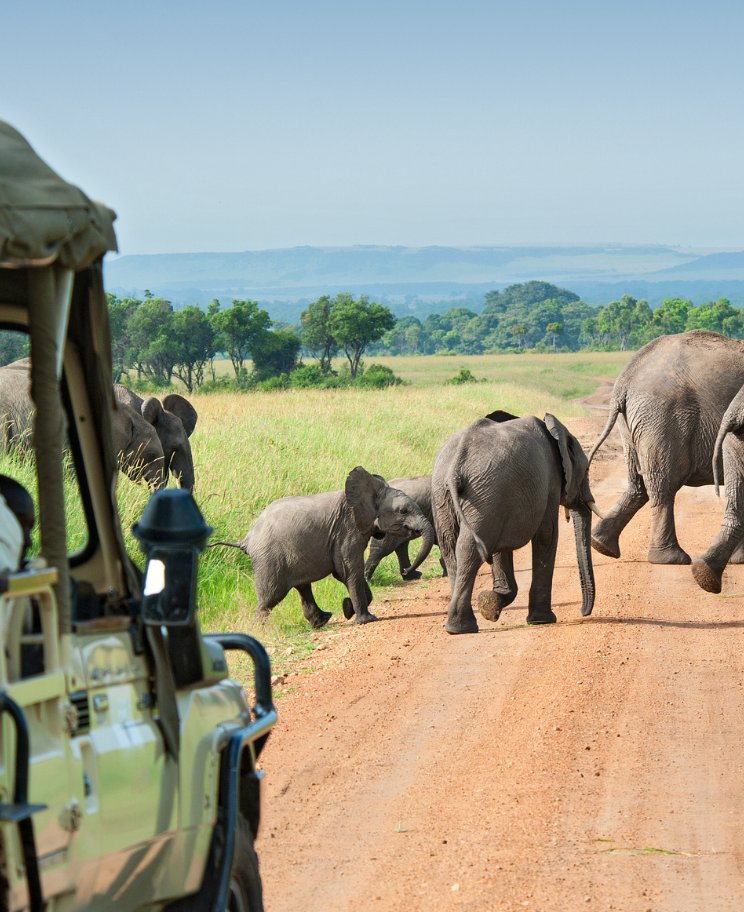 Elephant herd crossing in front of a safari vehicle in Tanzania