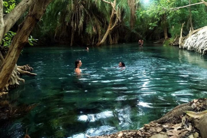 Palm-fringed oasis at Chemka Hot Springs