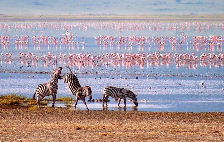 Ngorongoro Crater floor