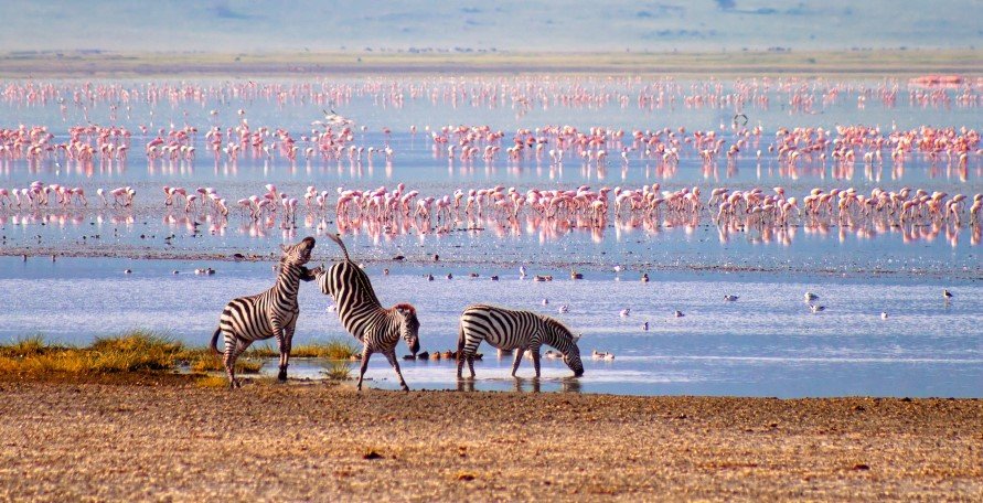 Ngorongoro Crater floor