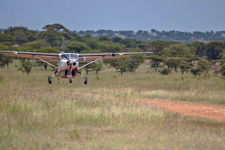 Light aircraft on a Serengeti airstrip