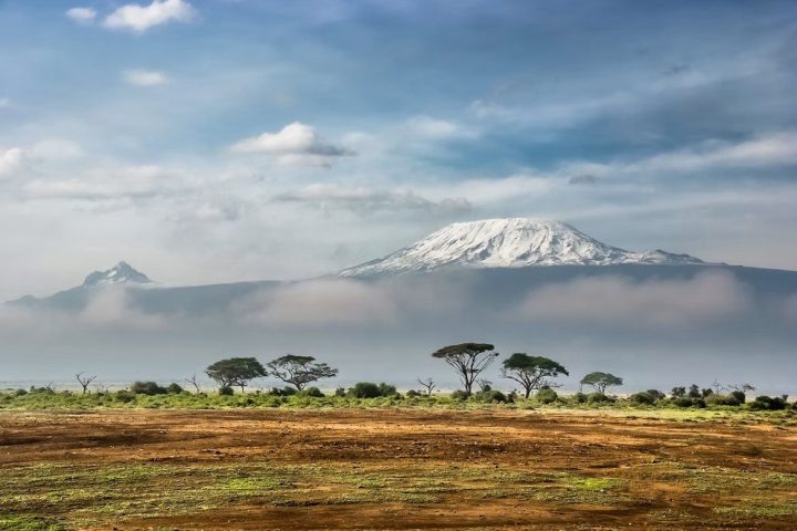 Trekkers on the Machame Route, Mount Kilimanjaro