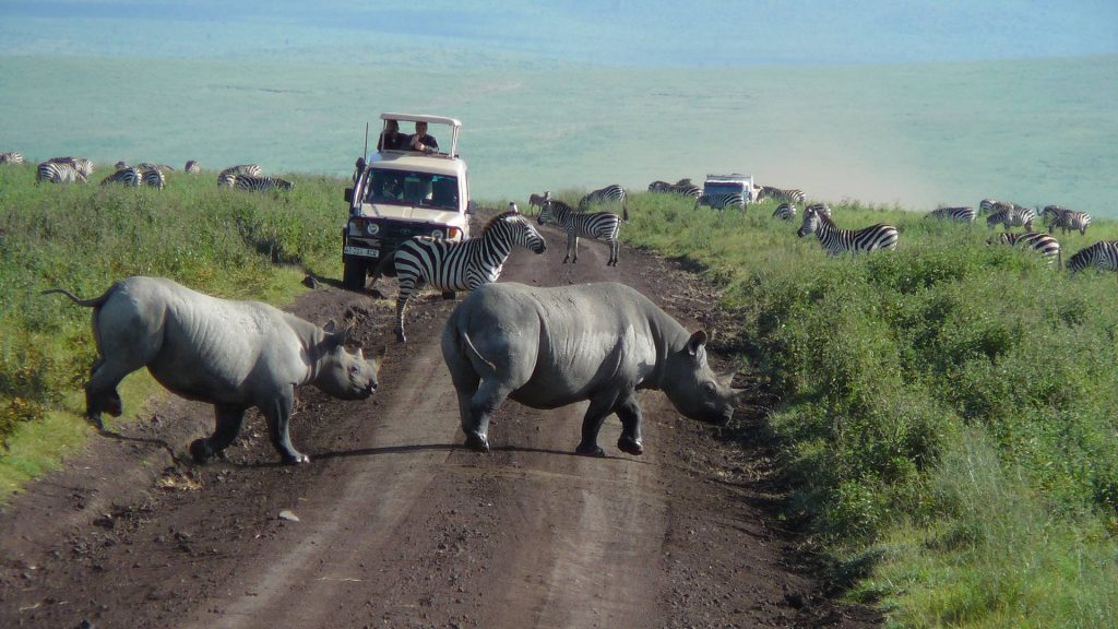 Wildlife grazing on the Ngorongoro Crater floor